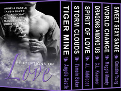 Perceptions of Love boxed set